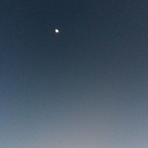 Meet your Posher, Krystle